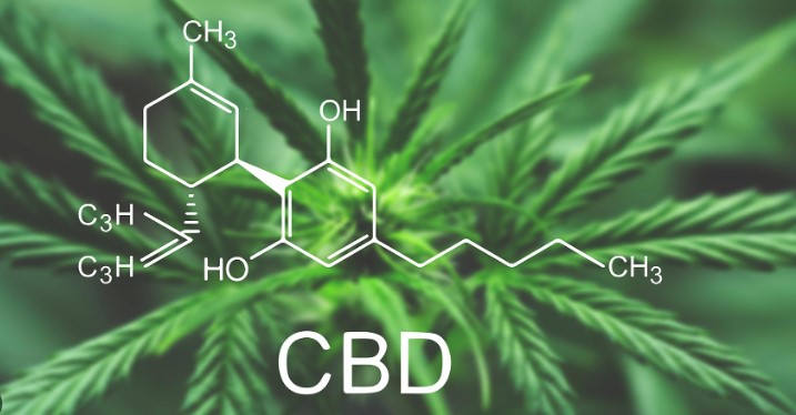 cbd olja cbd cannabinoider hampa lagligt sverige